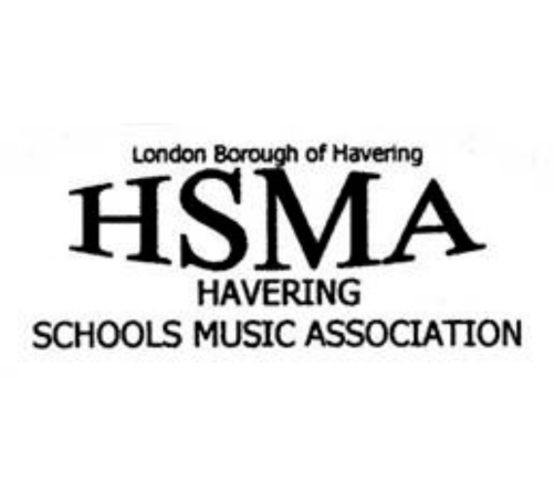 Havering School’s Music Festival