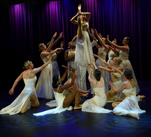 Apogee Stars Annual Show
