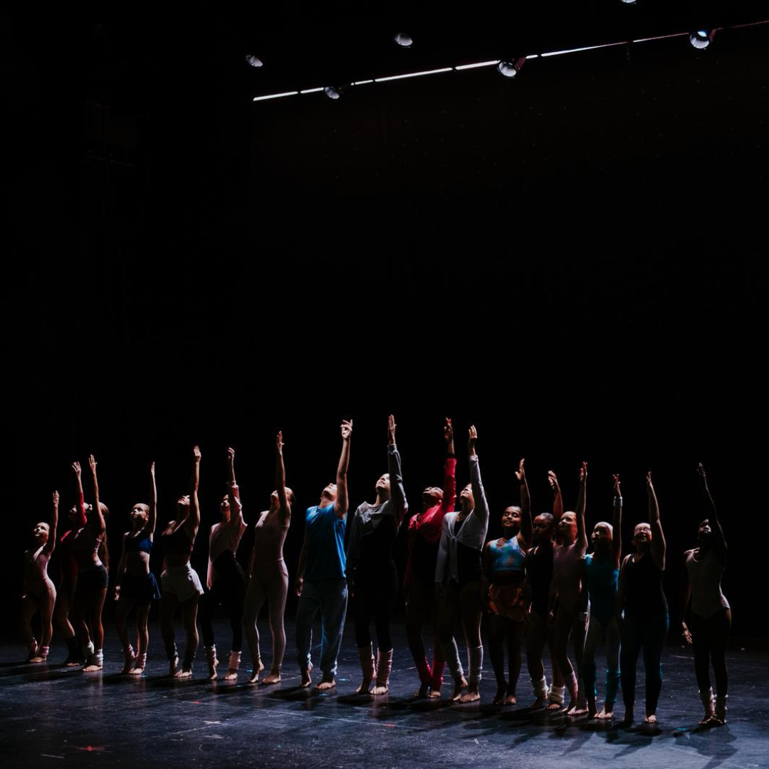 RAISE YOUR VOICE Presented by Apogee Stars