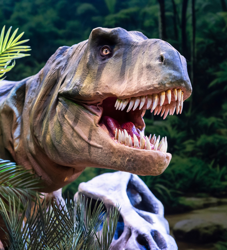 Natural History Museum Presents: Dinosaurs Live